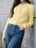 Dili Casual Wind Solid Color Long-Sleeved T-Shirt Sweater Women's Wool Knitted Women's Clothing 2025 Autumn And Winter