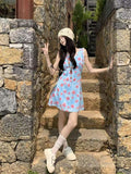 French Lace V-Neck Vest Dress Women's Summer Design Sense Seaside Resort Style To Close Short Skirt