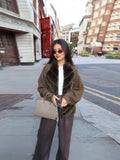 Coat Temperament Warm Long-Sleeved Fur Spliced With Woolly Coat Women's New Environmentally Friendly Fur
