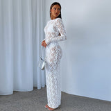 2025 Summer New Women's Pure Color Lace Perspective Long Sleeve Long Dress