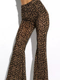 Women's Explosive Sexy Mesh Yarn Velvet High-Rise Legs Long Micro-Rac Casual Trousers
