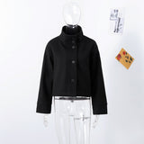 Exploding Fashion Temperament Elegant Buckle Collar Hair Jacket 2025 Women's Clothing Small Batch