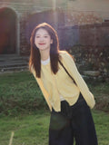 Milk Yellow Fake Two Knitted Cardigan Blouse Women Early Spring Korean Wearing Design Feeling Of Long-Sleeved Sweater Tide