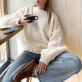 Dili Casual Simple Round Collar Long Sleeve Lined Sweater Women's 2025 Autumn And Winter