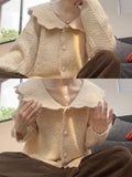 Purple Shawl Sweater Lazy Knitted Shirt Jacket Woman 2025 New Look Good Early Autumn Wear Top